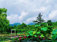-国家植物园南园