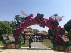 -武汉紫薇都市田园