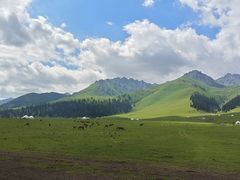 -新疆那拉提国家旅游度假区
