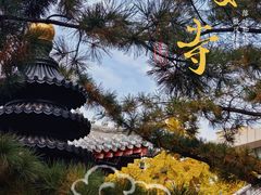 -长安寺