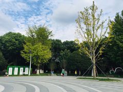 -昆山城市生态森林公园