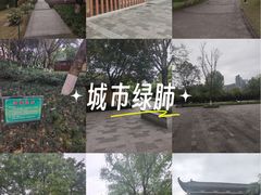 -沐仙湖湿地公园