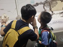 -国家自然博物馆