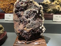 -湖南省地质博物馆