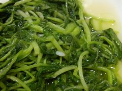 清炒鸡毛菜-19号私房菜(云南路店)
