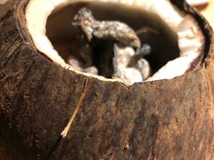原只椰子炖乌鸡-珍味汤馆·潮汕家乡菜(保利文化广场店)