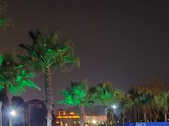 -宜春明月山维景国际温泉度假酒店