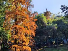-广州市白云山风景名胜区