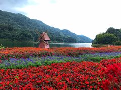 -广州市石门国家森林公园