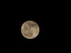 -德顺斋爆肚涮肉馆·烧烤·羊蝎子·清真炒菜(马驹桥店)