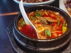 -陈麻婆豆腐总店