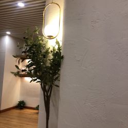 -ANNIL安奈尔·NASX超透白·科技抗衰·问题性肌肤管理