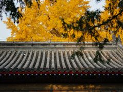 -承恩寺