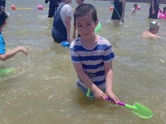 -碧海金沙