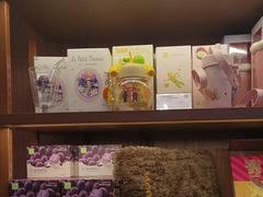 -奈雪的茶(石家庄万象城店)
