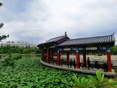 -洛龙公园