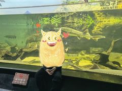 -江和美海洋公园