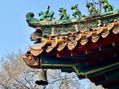 -高尔山公园