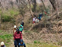 -南京市江宁方山