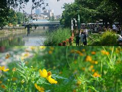 -成都市活水公园
