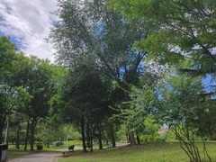 -立水桥公园