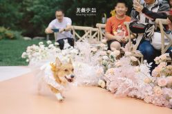 点击看大图 -美薇亭婚礼顾问