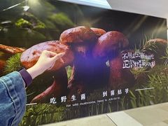 -万达广场(宁德蕉城店)