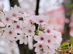 -龙美术馆(西岸馆)