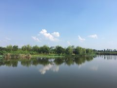 -杭州湾海上花田景区