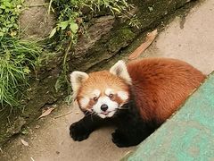 -西安秦岭野生动物园