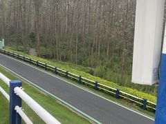 -合肥滨湖国家森林公园