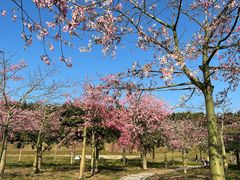 -风云岭森林公园
