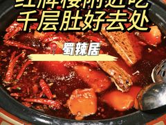-蜀辣居鲜货老火锅(红牌楼店)