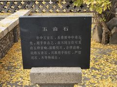 -泰山风景名胜区-普照寺