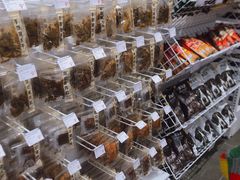 -KKV(深圳宏发大仟里店)