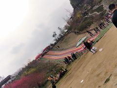 -秀丽东方