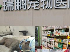 -瑞鹏宠物医院华南总院·夜诊·心脏科·骨科