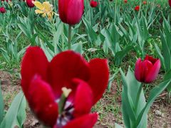 -长春公园(普阳街道)