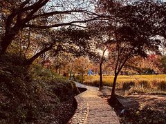 -塔川景区