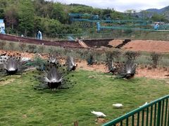 -瓷天下海丝谷