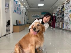 -美联众合动物医院·24h京西诊疗中心