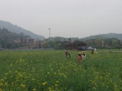 景点-红山村