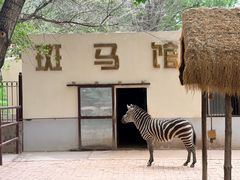 -青藏高原野生动物园