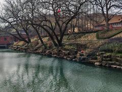 -冶父山国家森林公园