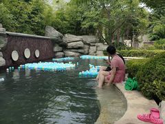 -大连金石滩绿发温泉假日酒店