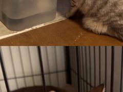 -H立方实景剧情密室(天河旗舰店)
