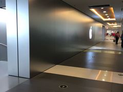 -Apple零售店(中街大悦城店)