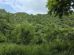 -大岭沟猕猴桃谷风景区
