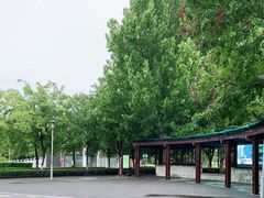 -大兴滨河森林公园