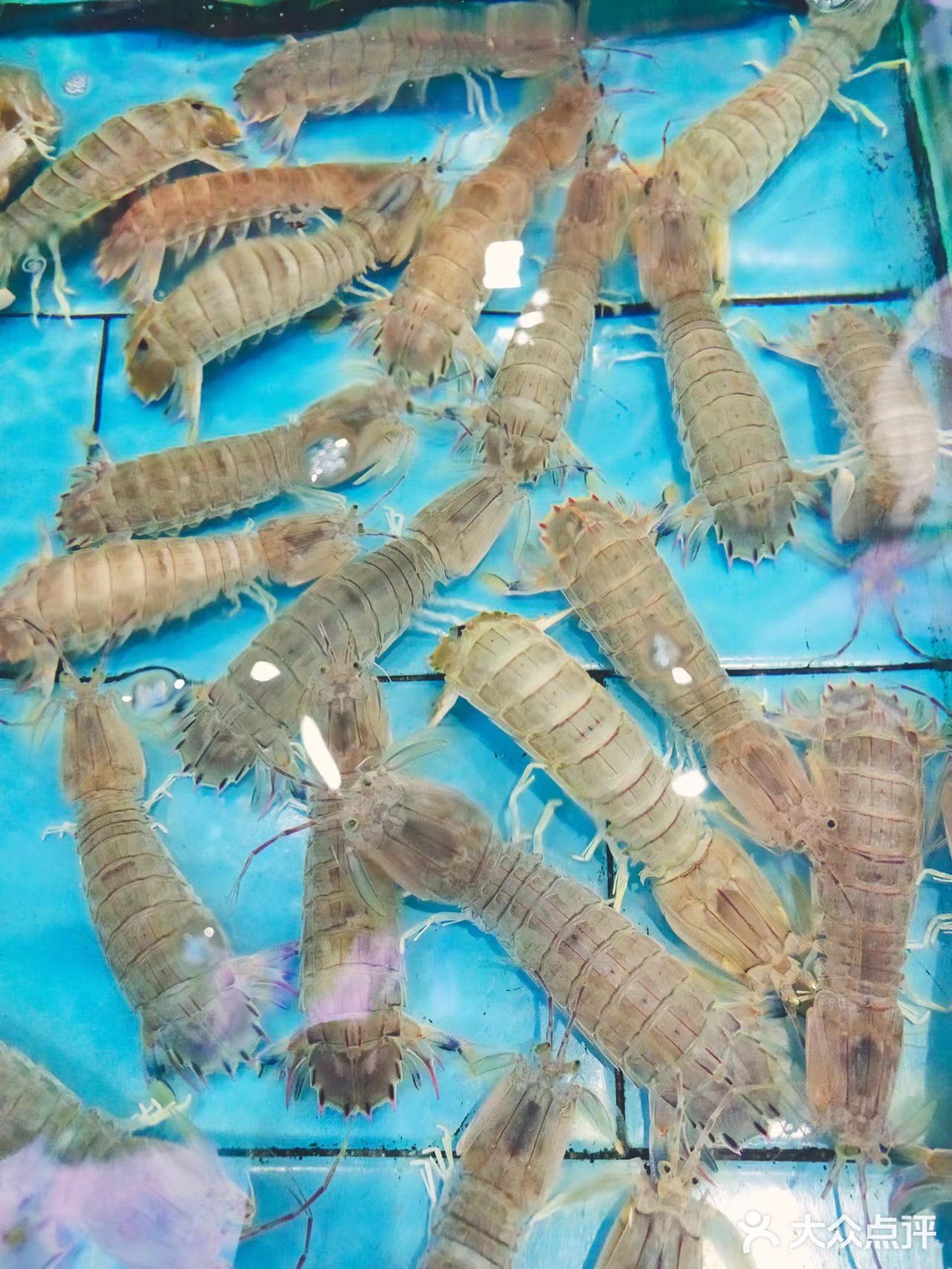 喜欢吃海鲜的宝子们绝对不能错过的一家超赞的海鲜大排档